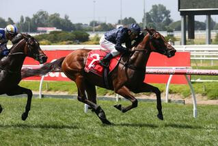 Long Leaf winning the Blue Diamond Preview at Caulfield.